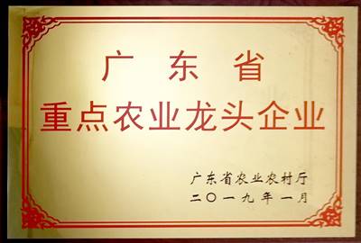 榮譽證書